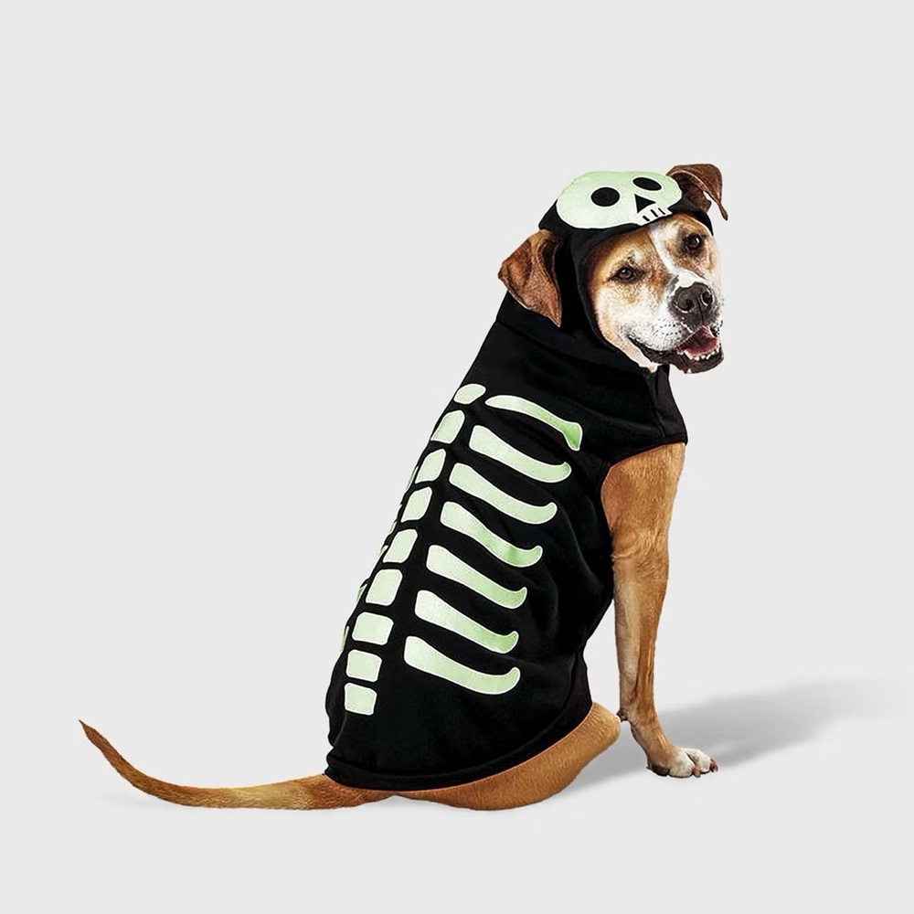 Skeleton nwt Glow Reflective Halloween Hoodie Dog Costume - M - Boots & Barkley